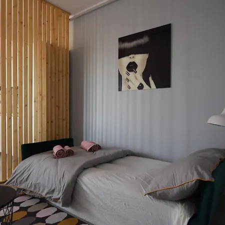 Resedinta Lui Calin - Scandinavian Sleeping And Living With Private Parking *