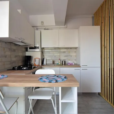 Resedinta Lui Calin - Scandinavian Sleeping And Living With Private Parking Appartement *
